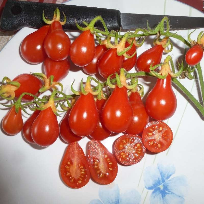Poire rouge
