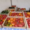 tomates