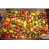 Tomates cerises et cocktail