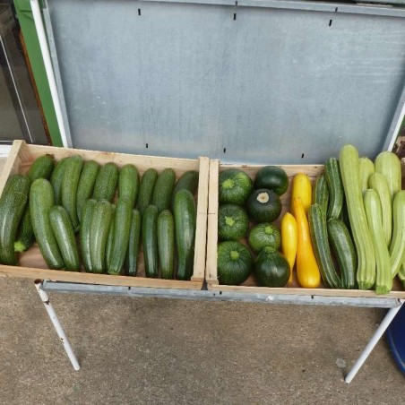 Courgettes
